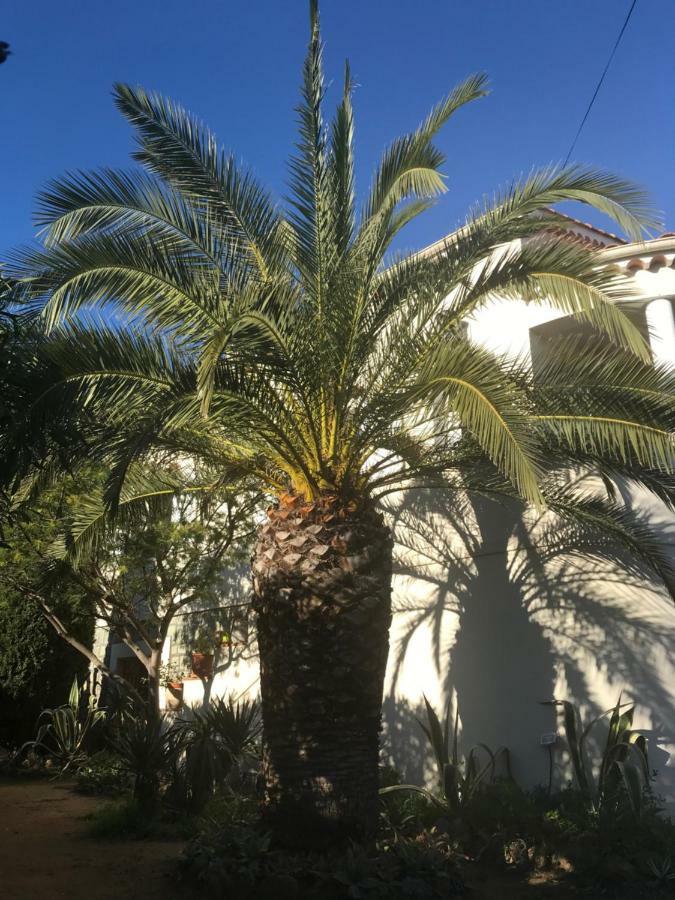 Rez De Villa Pebrier Fréjus 외부 사진