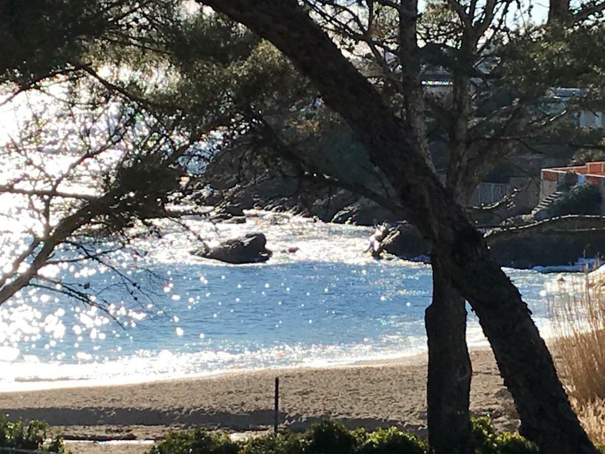 Rez De Villa Pebrier Fréjus 외부 사진